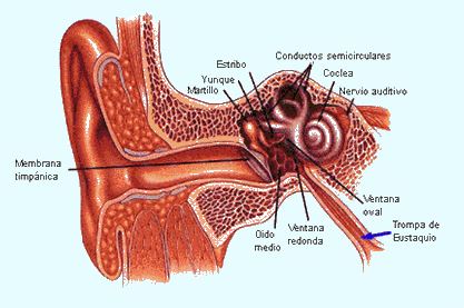 consultorio-1
