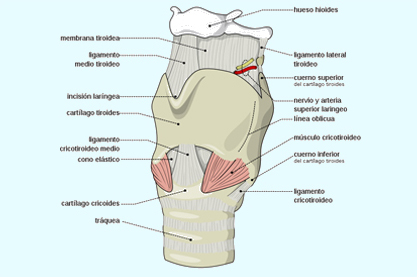 consultorio-3