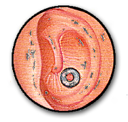 infeccionoidos3